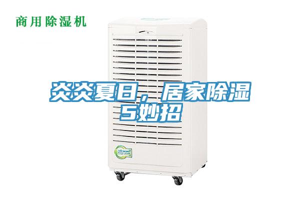 炎炎夏日，居家除濕5妙招