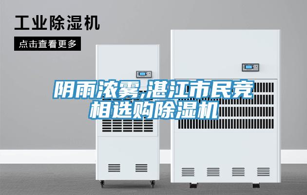 陰雨濃霧,湛江市民競相選購91看片软件大全