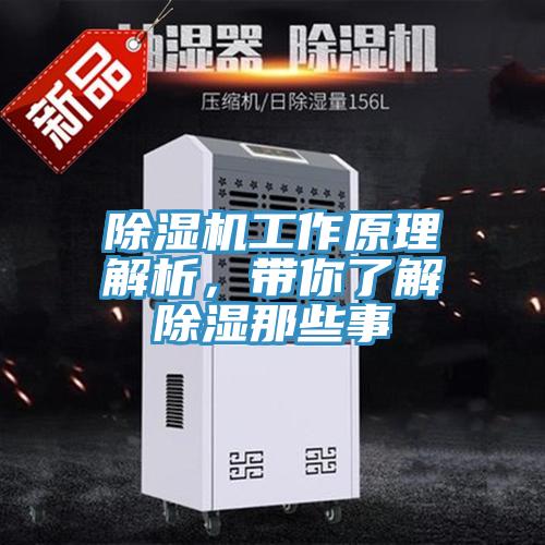 91看片软件大全工作原理解析，帶你了解除濕那些事