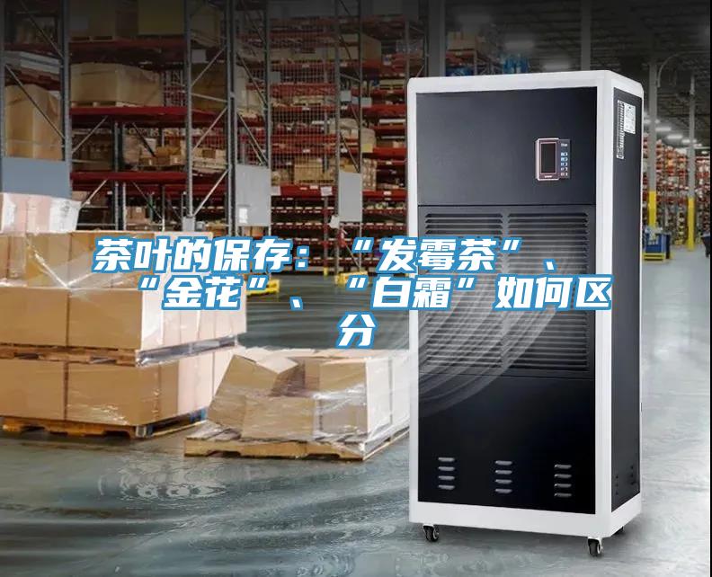 茶葉的保存：“發黴茶”、“金花”、“白霜”如何區分