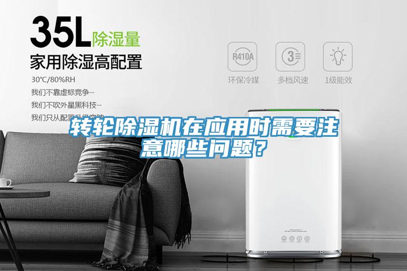 轉輪91看片软件大全在應用時需要注意哪些問題？