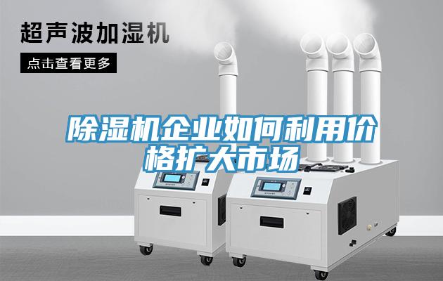 91看片软件大全企業如何利用價格擴大市場