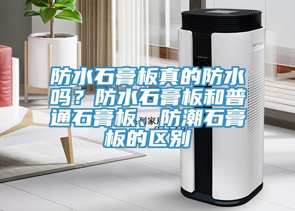 防水石膏板真的防水嗎？防水石膏板和普通石膏板、防潮石膏板的區別