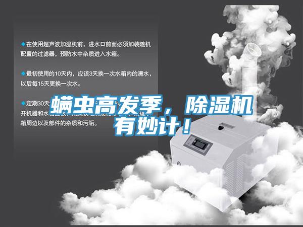 蟎蟲高發季，91看片软件大全有妙計！