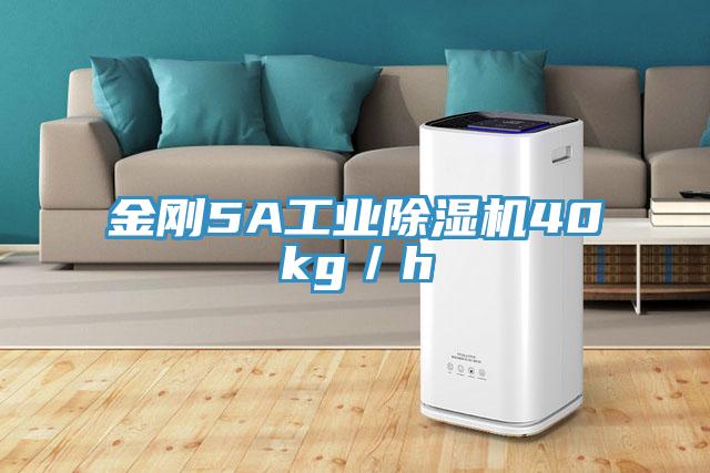 金剛5A工業91看片软件大全40kg／h