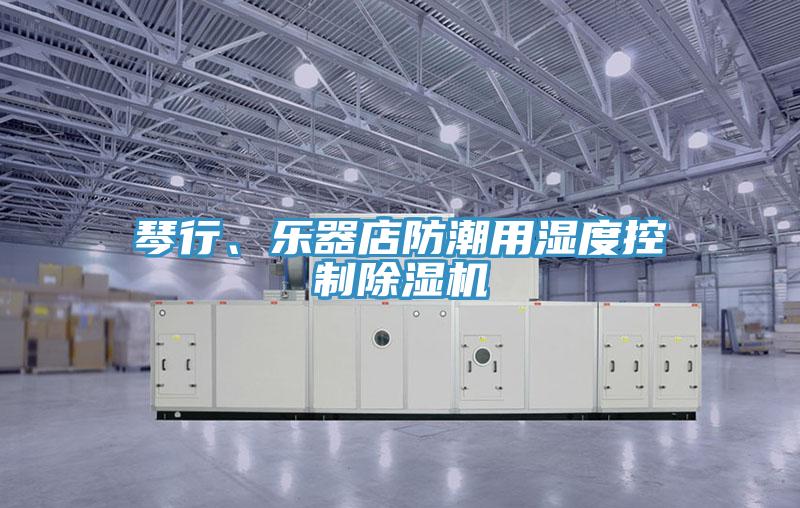 琴行、樂器店防潮用濕度控製91看片软件大全