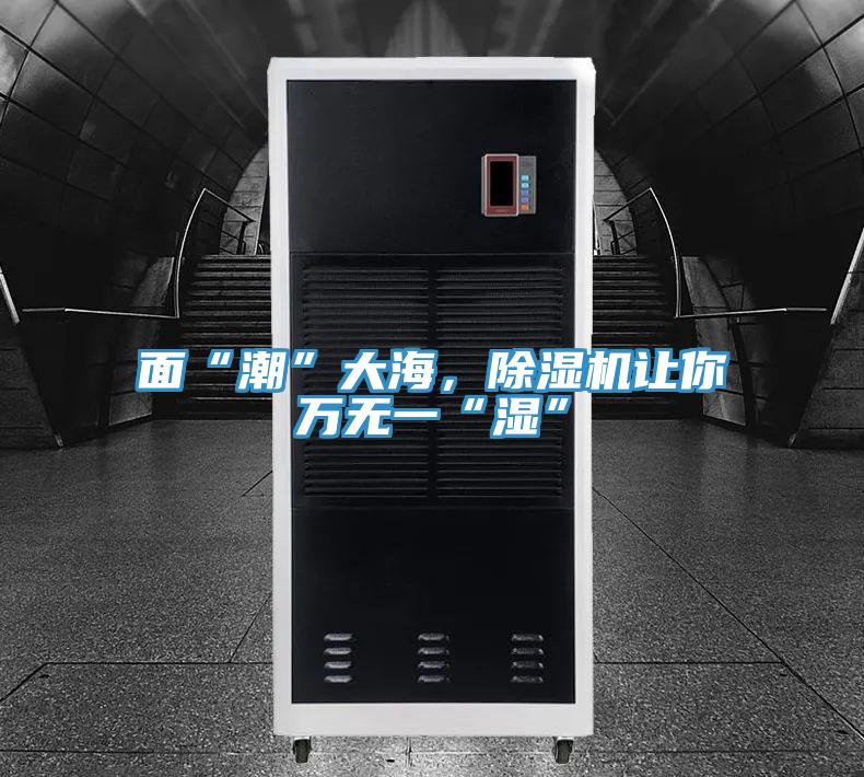 麵“潮”大海，91看片软件大全讓你萬無一“濕”