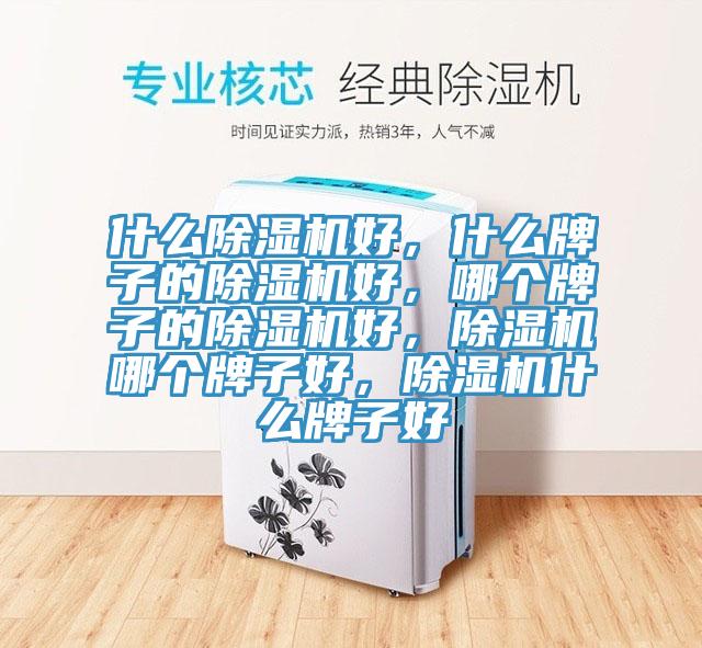 什麽91看片软件大全好，什麽牌子的91看片软件大全好，哪個牌子的91看片软件大全好，91看片软件大全哪個牌子好，91看片软件大全什麽牌子好