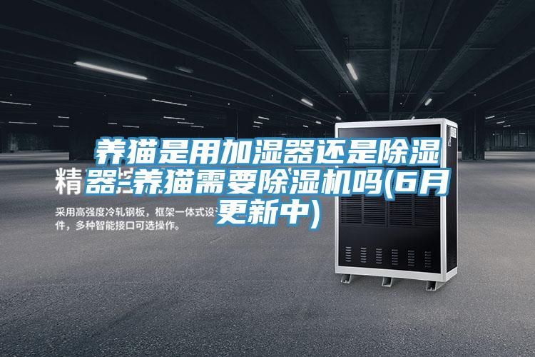 養貓是用加濕器還是除濕器-養貓需要91看片软件大全嗎(6月更新中)