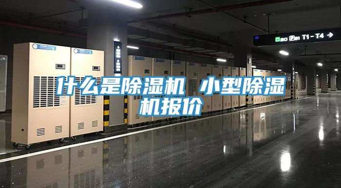 什麽是91看片软件大全 小型91看片软件大全報價