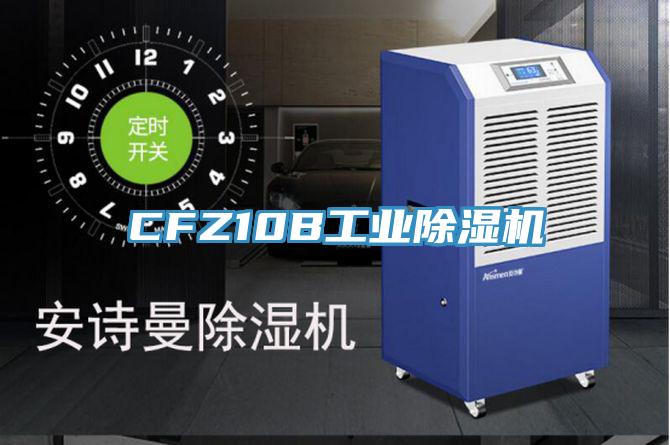 CFZ10B工業91看片软件大全