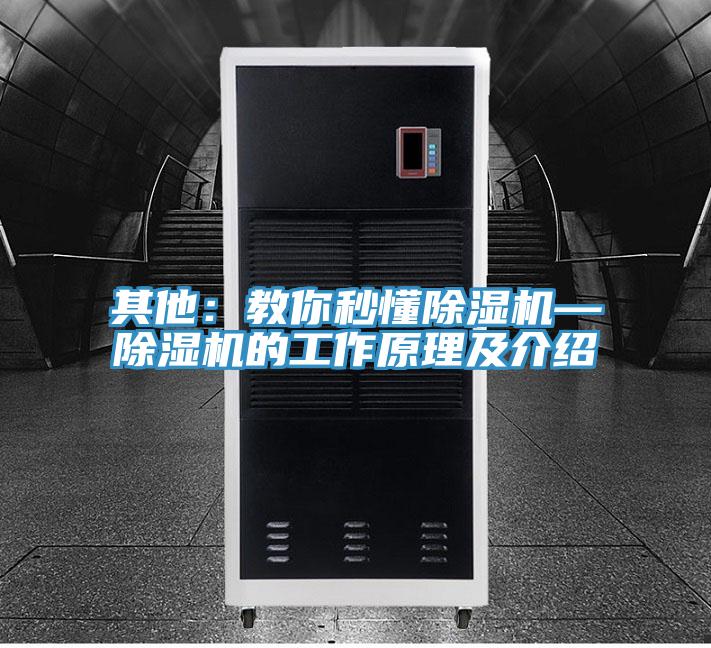 其他：教你秒懂91看片软件大全—91看片软件大全的工作原理及介紹