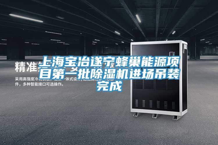 上海寶冶遂寧蜂巢能源項目第一批91看片软件大全進場吊裝完成