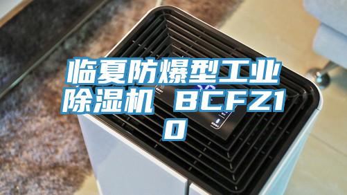 臨夏防爆型工業91看片软件大全 BCFZ10