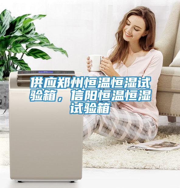供應鄭州恒溫恒濕試驗箱，信陽恒溫恒濕試驗箱