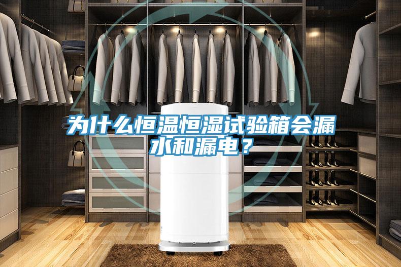 為什麽恒溫恒濕試驗箱會漏水和漏電？