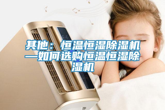 其他：恒溫恒濕91看片软件大全—如何選購恒溫恒濕91看片软件大全
