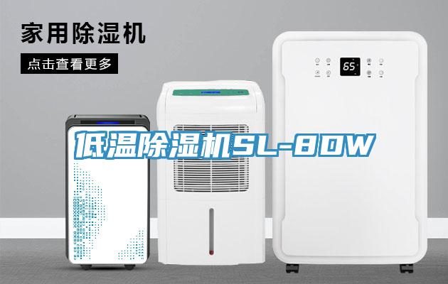 低溫91看片软件大全SL-8DW