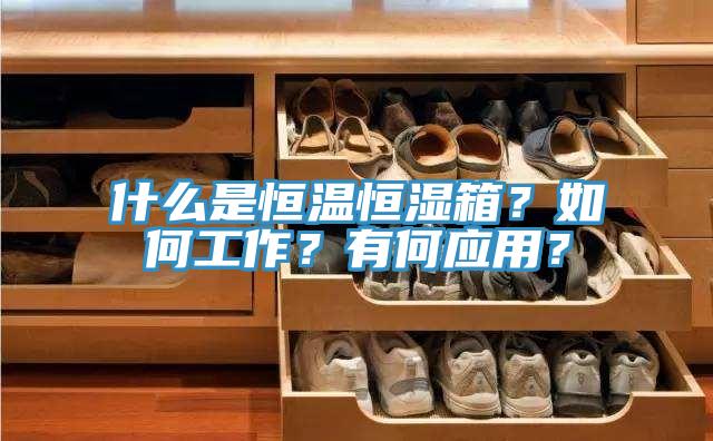 什麽是恒溫恒濕箱？如何工作？有何應用？