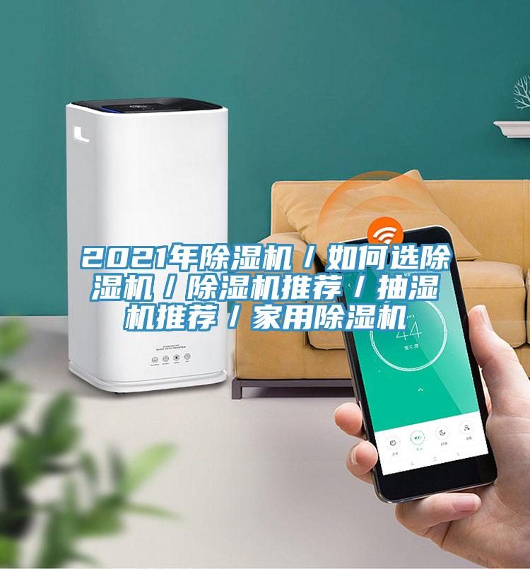 2021年91看片软件大全／如何選91看片软件大全／91看片软件大全推薦／抽濕機推薦／家用91看片软件大全