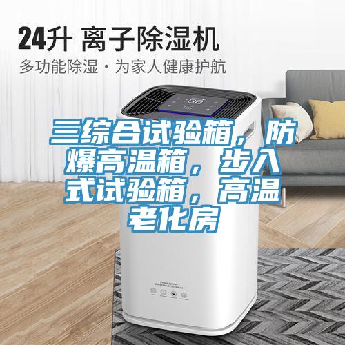 三綜合試驗箱，防爆高溫箱，步入式試驗箱，高溫老化房