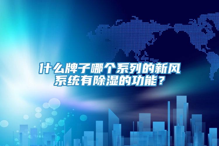 什麽牌子哪個係列的新風係統有除濕的功能？