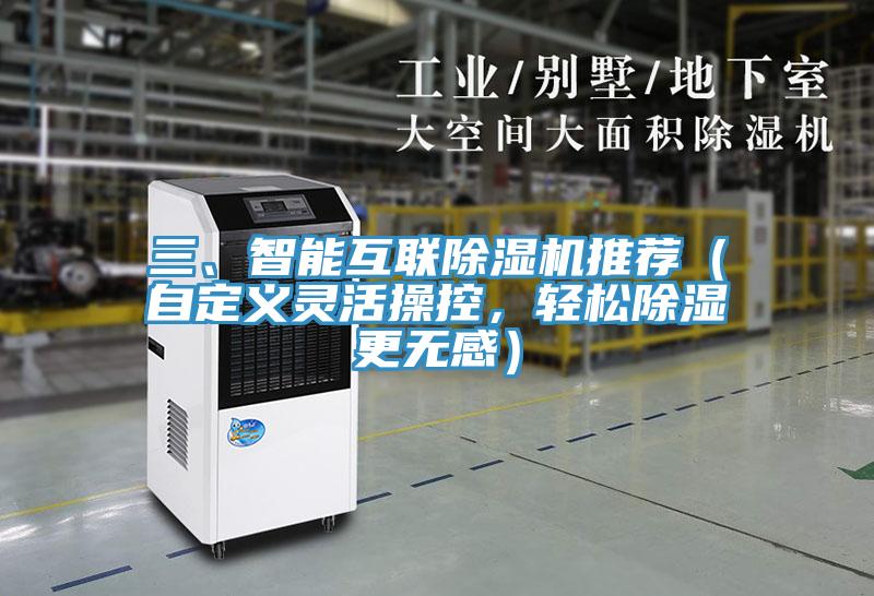 三、智能互聯91看片软件大全推薦（自定義靈活操控，輕鬆除濕更無感）