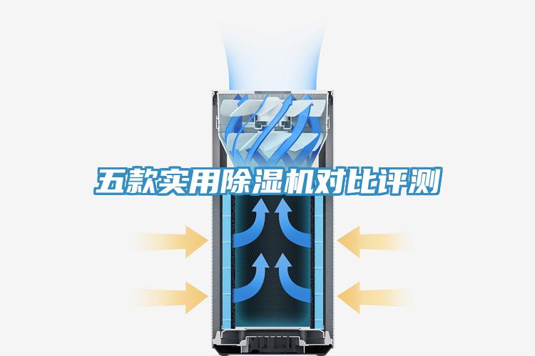 五款實用91看片软件大全對比評測