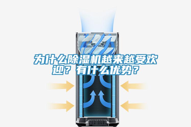 為什麽91看片软件大全越來越受歡迎？有什麽優勢？