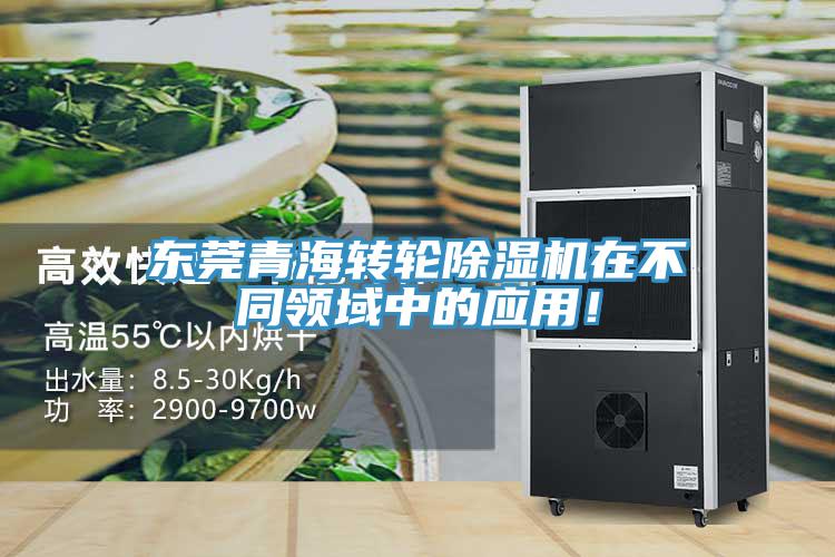 東莞青海轉輪91看片软件大全在不同領域中的應用！