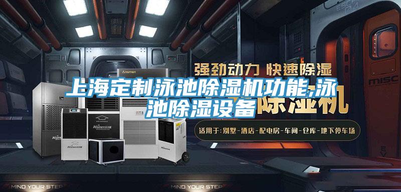 上海定製泳池91看片软件大全功能,泳池除濕設備