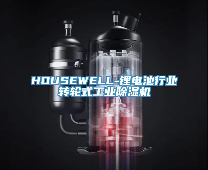 HOUSEWELL-鋰電池行業轉輪式工業91看片软件大全