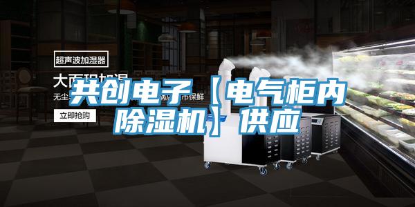 共創電子【電氣櫃內91看片软件大全】供應