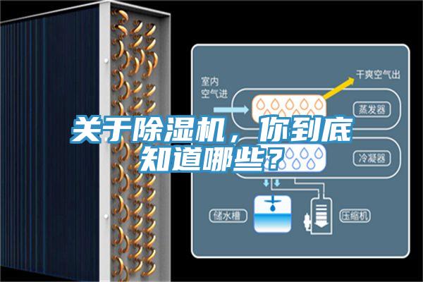 關於91看片软件大全，你到底知道哪些？