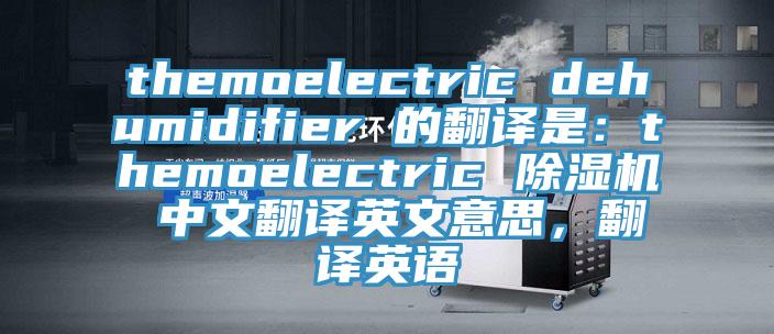 themoelectric dehumidifier 的翻譯是：themoelectric 91看片软件大全 中文翻譯英文意思，翻譯英語