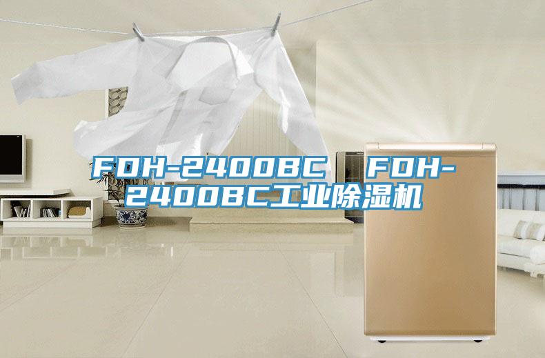 FDH-2400BC  FDH-2400BC工業91看片软件大全