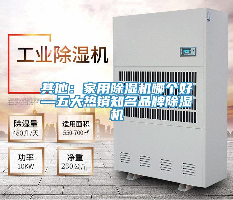 其他：家用91看片软件大全哪個好—五大熱銷知名品牌91看片软件大全