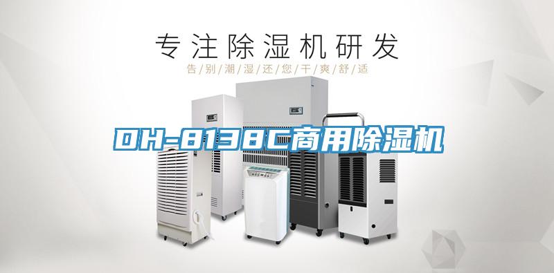 DH-8138C商用91看片软件大全