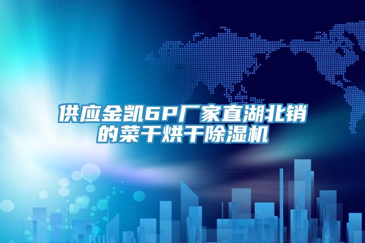 供應金凱6P廠家直湖北銷的菜幹烘幹91看片软件大全