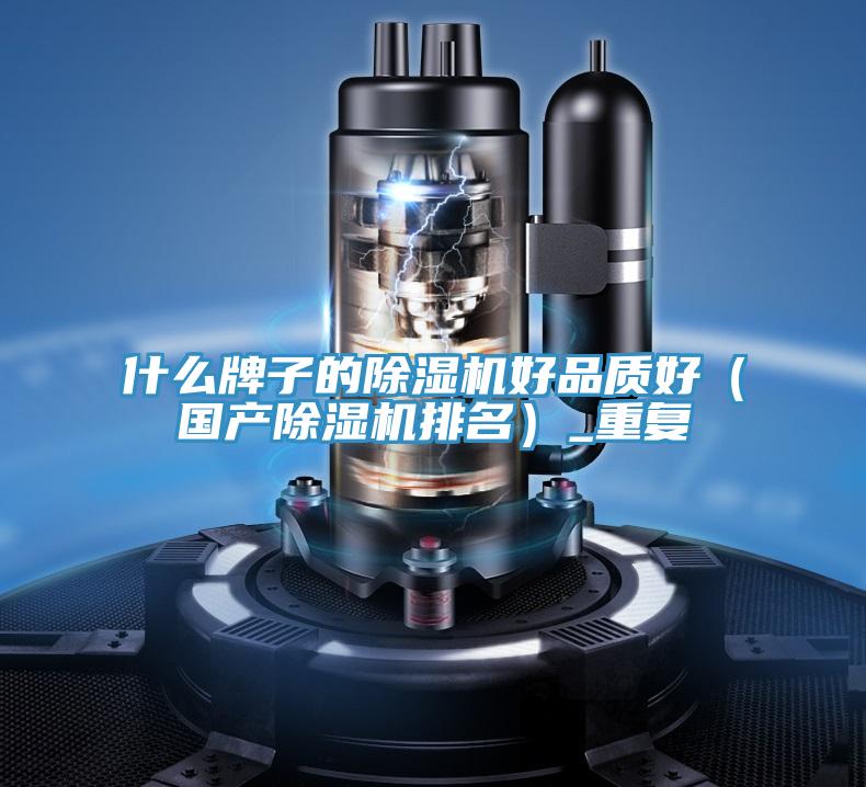 什麽牌子的91看片软件大全好品質好（國產91看片软件大全排名）_重複