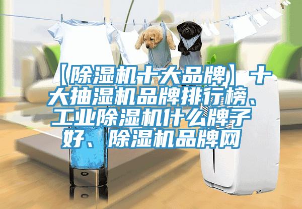 【91看片软件大全十大品牌】十大抽濕機品牌排行榜、工業91看片软件大全什麽牌子好、91看片软件大全品牌網