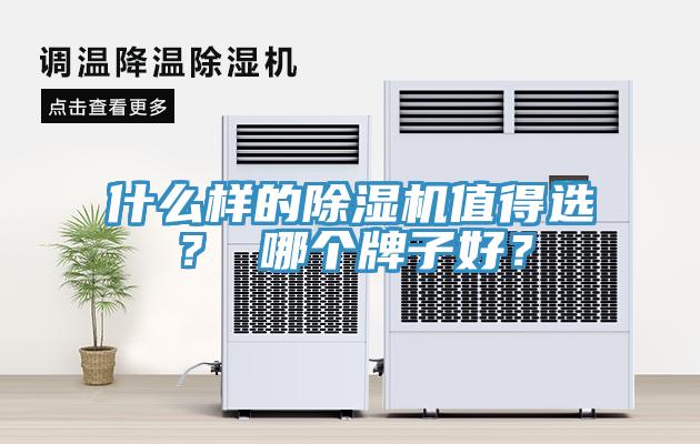 什麽樣的91看片软件大全值得選？ 哪個牌子好？