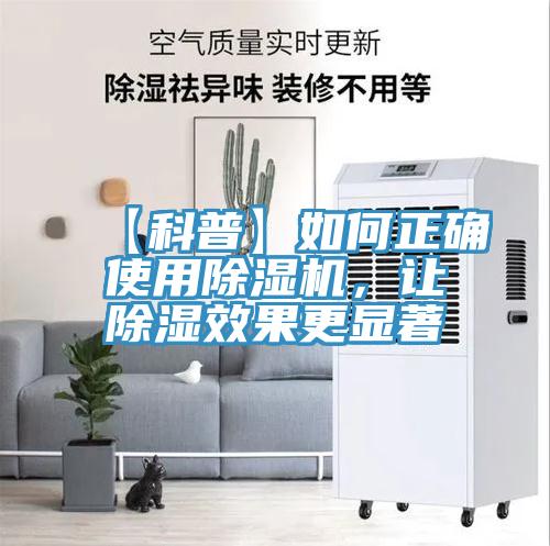 【科普】如何正確使用91看片软件大全，讓除濕效果更顯著