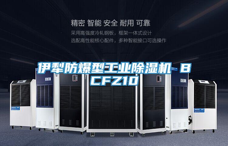 伊犁防爆型工業91看片软件大全 BCFZ10