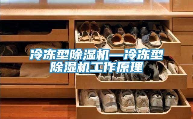 冷凍型91看片软件大全—冷凍型91看片软件大全工作原理