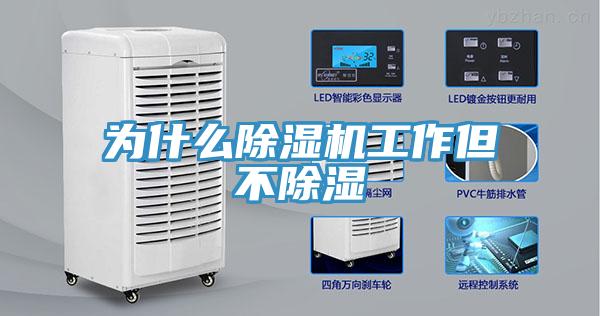 為什麽91看片软件大全工作但不除濕