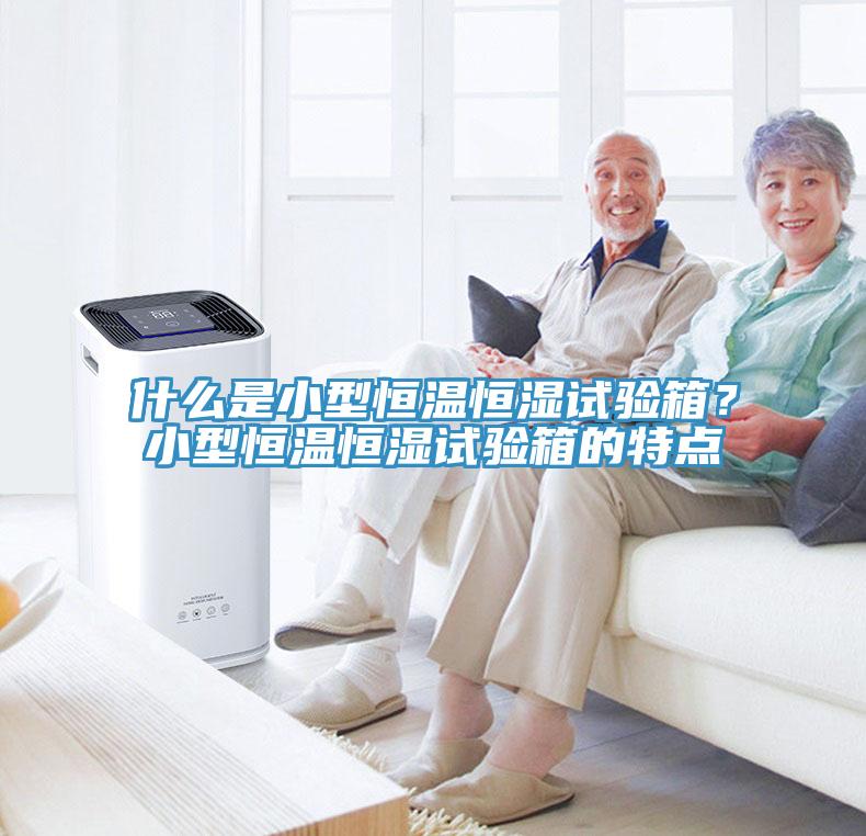 什麽是小型恒溫恒濕試驗箱？小型恒溫恒濕試驗箱的特點