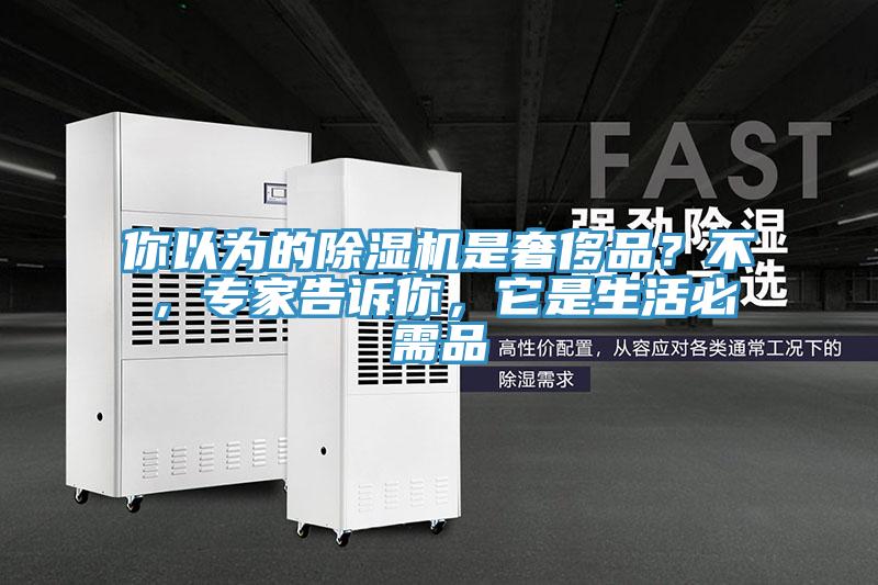 你以為的91看片软件大全是奢侈品？不，專家告訴你，它是生活必需品