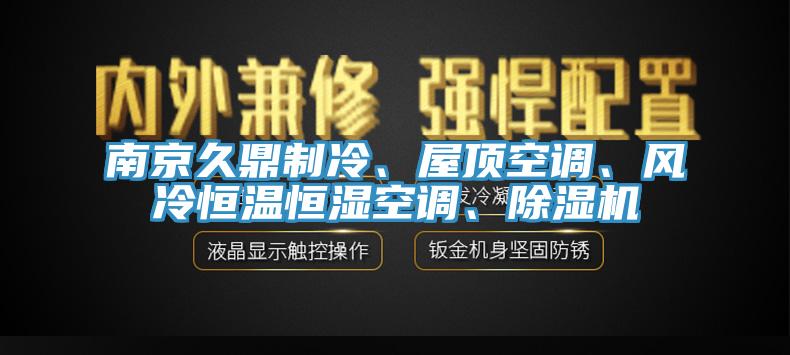 南京久鼎製冷、屋頂空調、風冷恒溫恒濕空調、91看片软件大全
