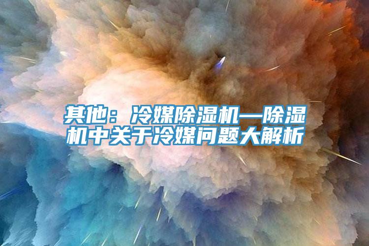 其他：冷媒91看片软件大全—91看片软件大全中關於冷媒問題大解析